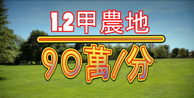 空拍環景..台南市白河區平坦農地每分90萬**出售農地-65**