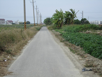 佳里港墘段田地