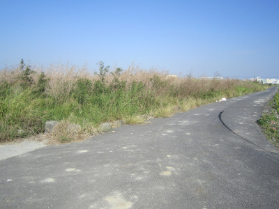 佳里廣安段田地