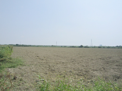 學甲段河川 區農牧用地