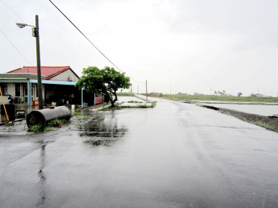 七股三聖段田地