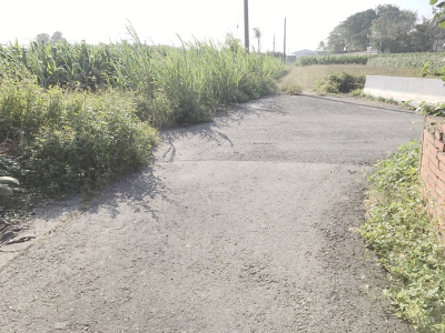 七股後港段田地