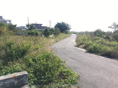 七股大文段田地