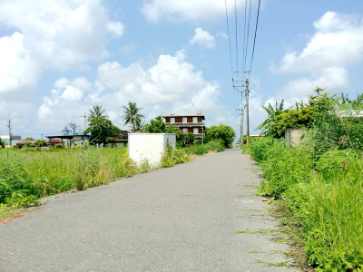 竹子港庄內雙面路農地