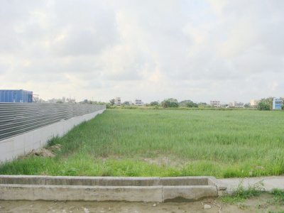 七股樹林段田地