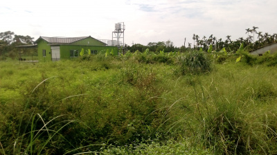 桃花休閒美樂地