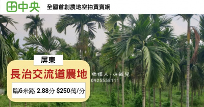 長治交流道農地  2.88分 $250萬/分