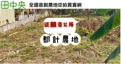 麟洛鄉公所大路旁都計農地