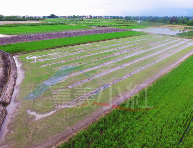 空拍環景..台南市白河區前後路方正農地**出售農地-58*