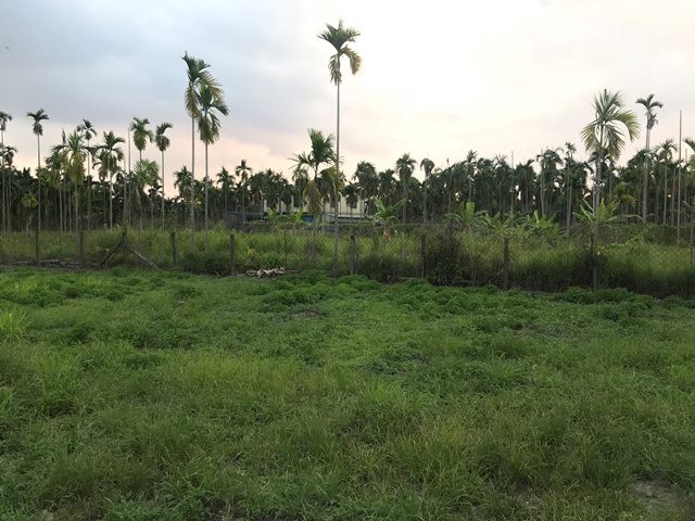 龍泉崇文國小都計農地