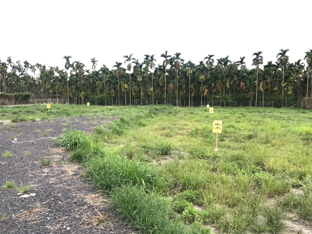 龍泉崇文國小都計農地