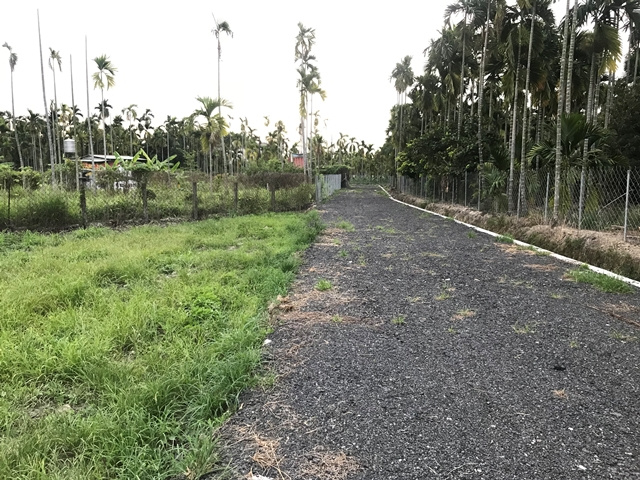 龍泉崇文國小都計農地