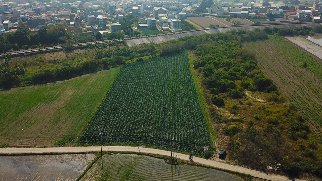 善化胡厝寮6.8分農地