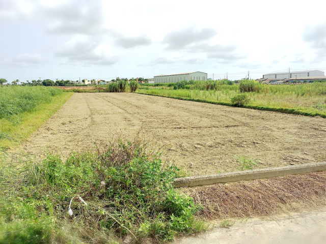 佳里龍安段田地