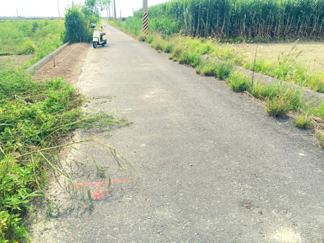 佳里龍安段田地