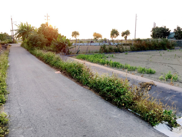 佳里成功路都計內農地