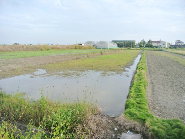 佳里通興段優質田地