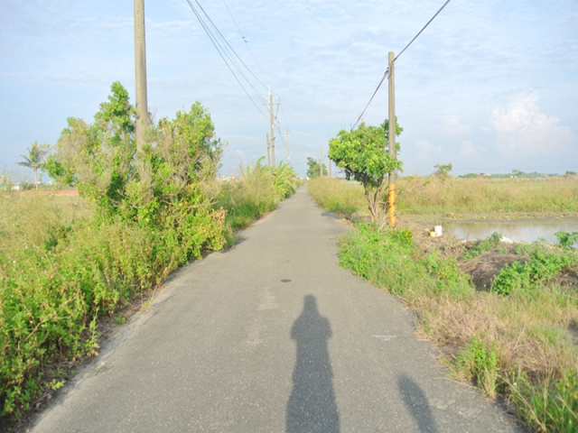 佳里通興段優質田地