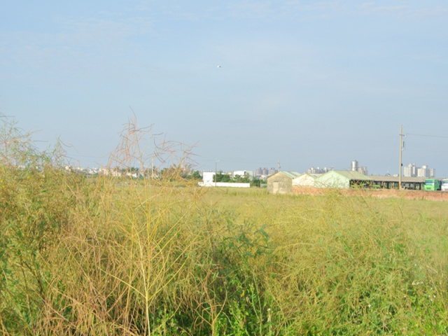 佳里通興段優質田地