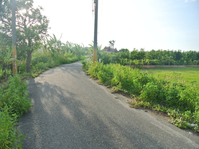 佳里通興段優質田地