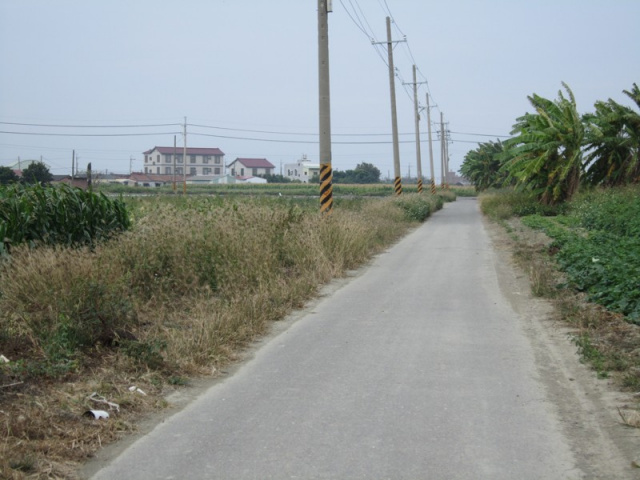 佳里港墘段田地