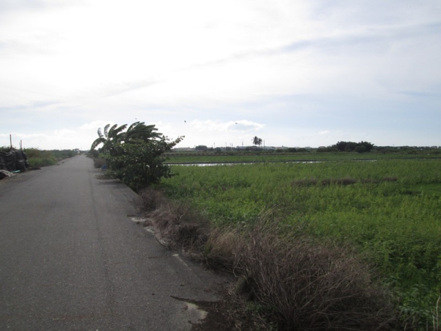 佳里蚶寮段田地