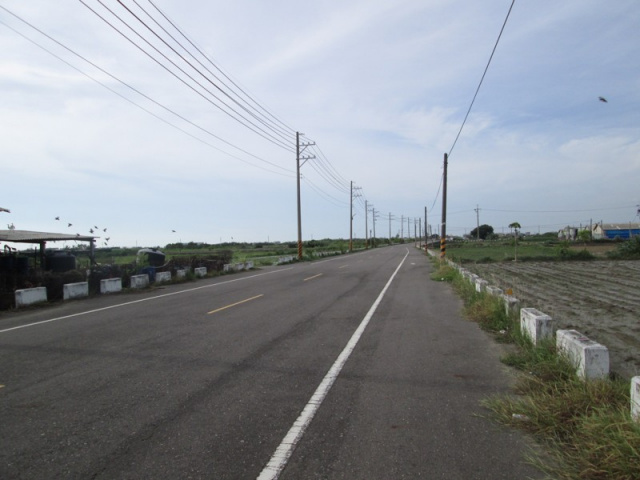 佳里蚶寮段田地