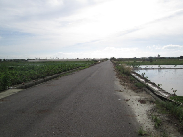 佳里蚶寮段田地