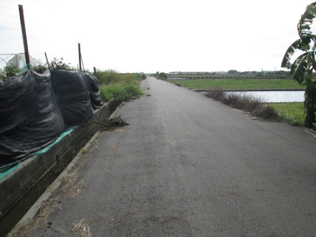 佳里蚶寮段田地