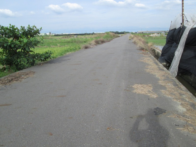 佳里蚶寮段田地