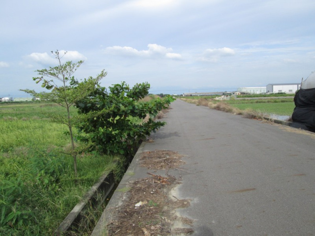 佳里蚶寮段田地