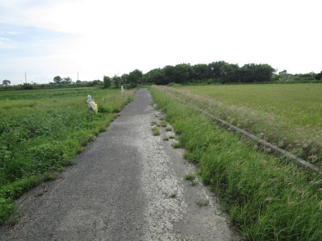 佳里成功路都計內農地