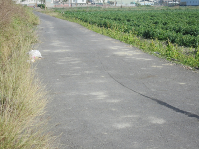 佳里廣安段田地