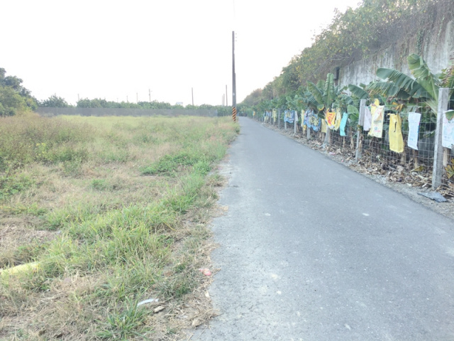 麻豆謝厝寮段田地