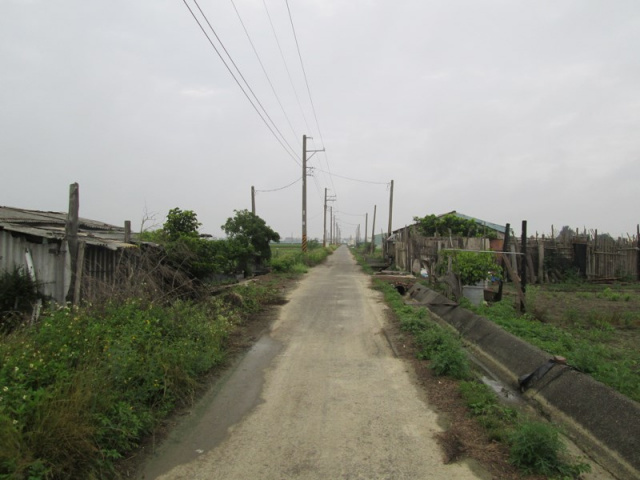 將軍漚汪中甲小段田地