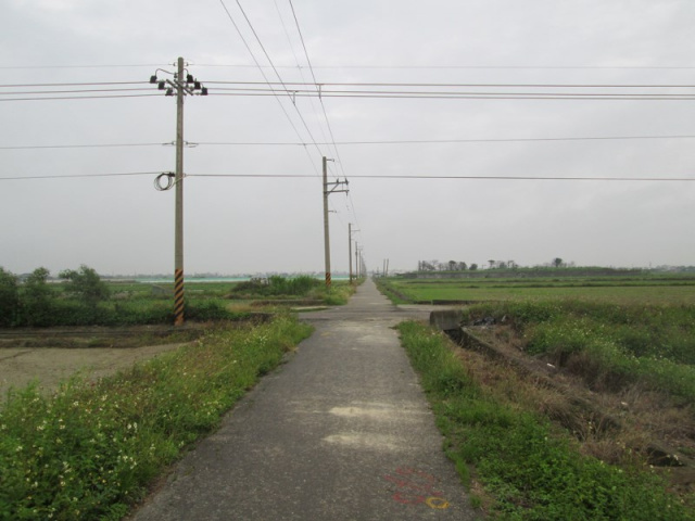 將軍漚汪中甲小段田地