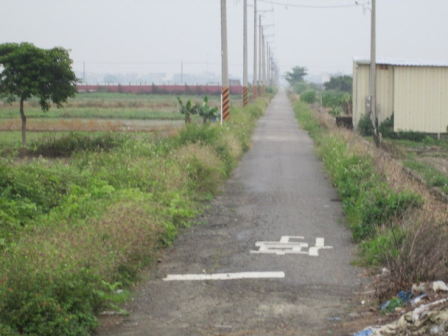 將軍漚汪中甲小段田地