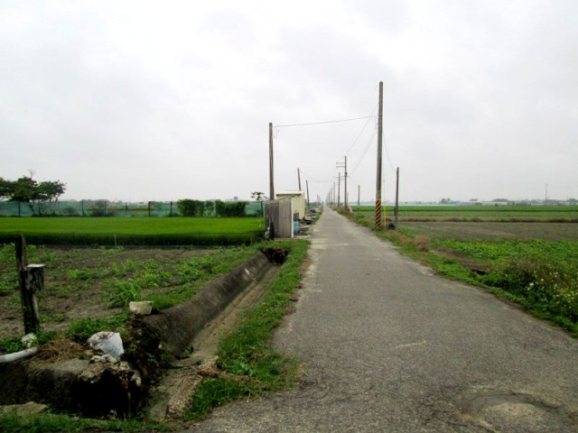 將軍漚汪中甲小段田地