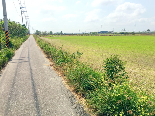 西港劉厝段田地