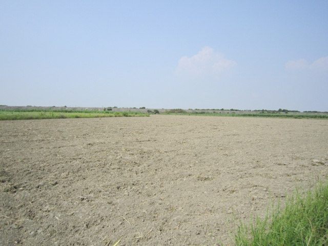 學甲段河川 區農牧用地