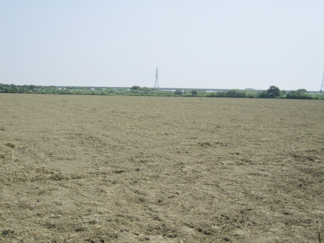 學甲段河川 區農牧用地