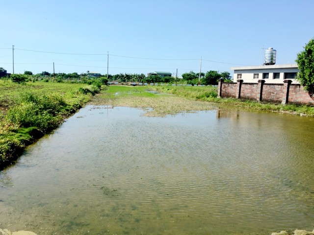 七股大文段農地