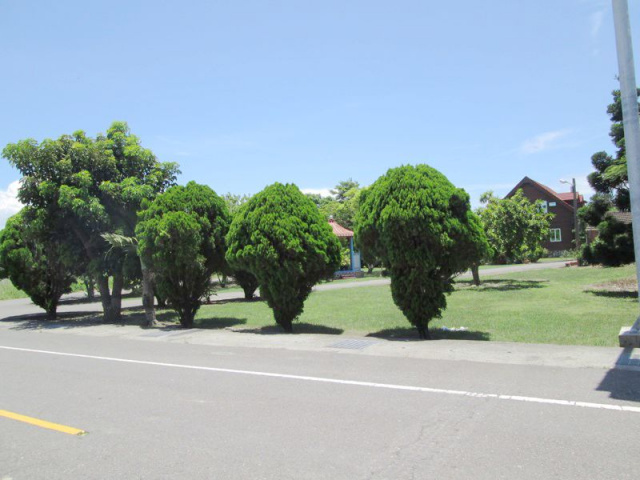 七股城子內段田地