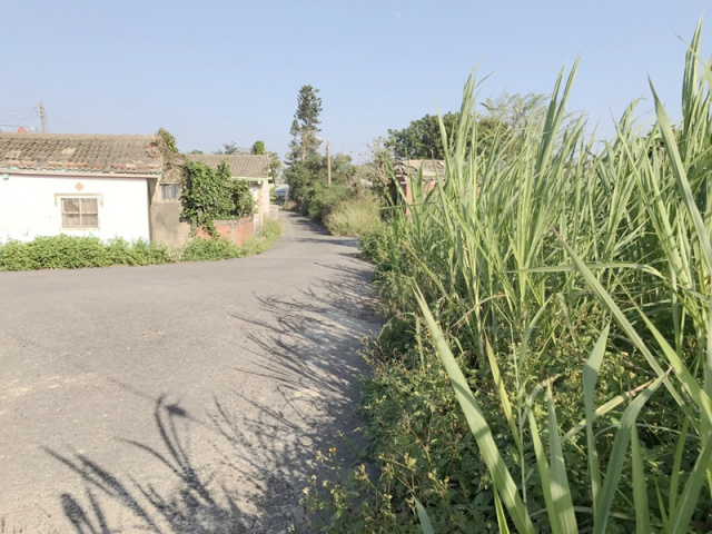 七股後港段田地