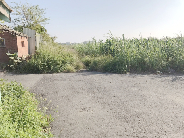 七股後港段田地