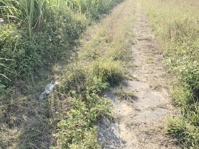 七股後港段田地