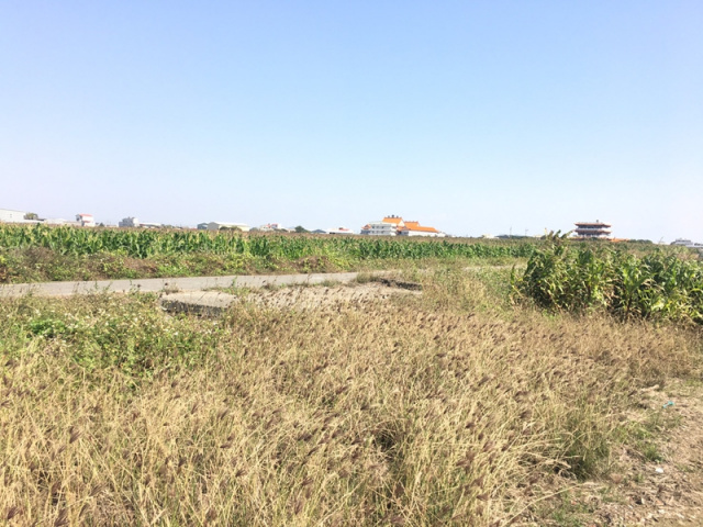 七股看坪段田地