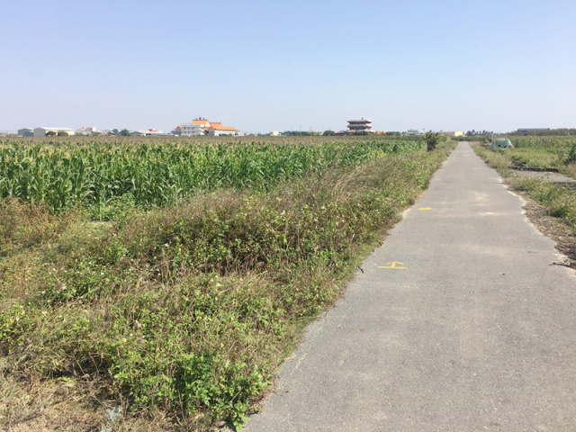 七股看坪段田地