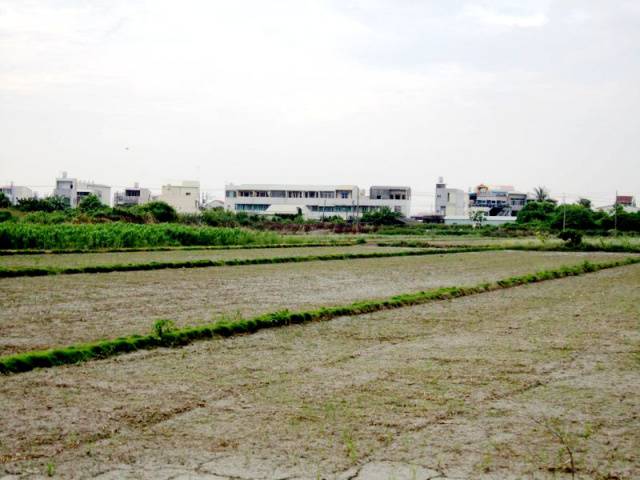 七股竹橋段田地