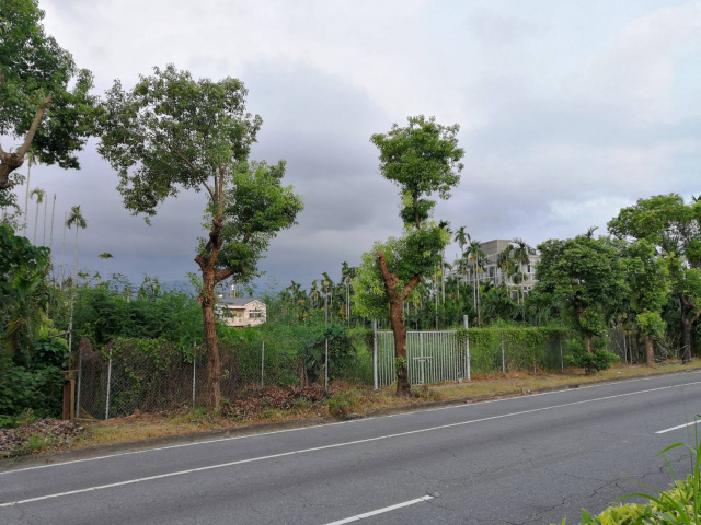 內埔省道上雙面路都計農地